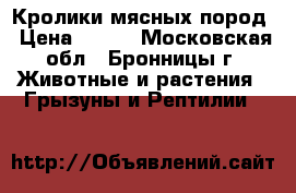 Кролики мясных пород › Цена ­ 800 - Московская обл., Бронницы г. Животные и растения » Грызуны и Рептилии   